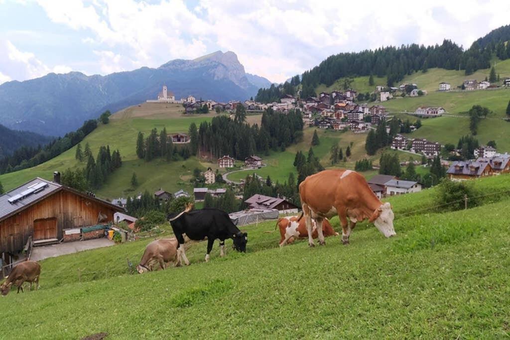 App. Monte Pore - Agriturismo La Majon Colle Santa Lucia Exterior photo